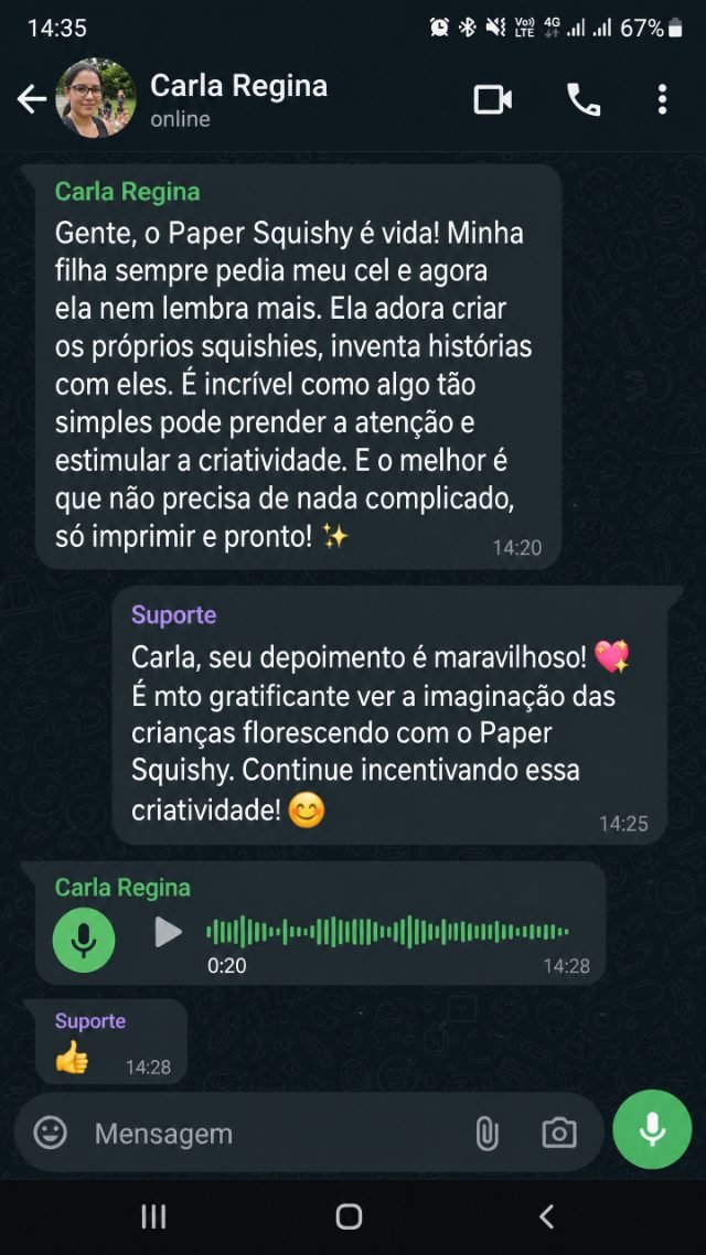 Print de conversa real no WhatsApp 2